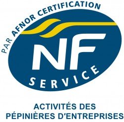 NFS_Pepinieres